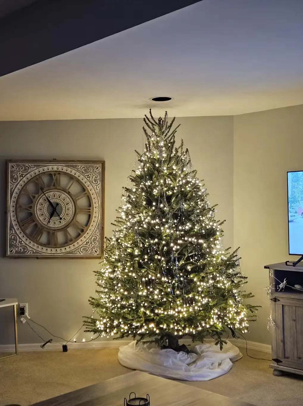 Real Christmas Trees Delivered 7 Foot Premium Fraser Fir Christmas Trees In The Mail