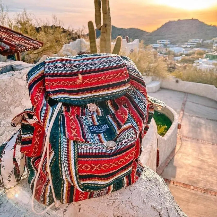 Recycled Travel Backpack Delhi Rice Love