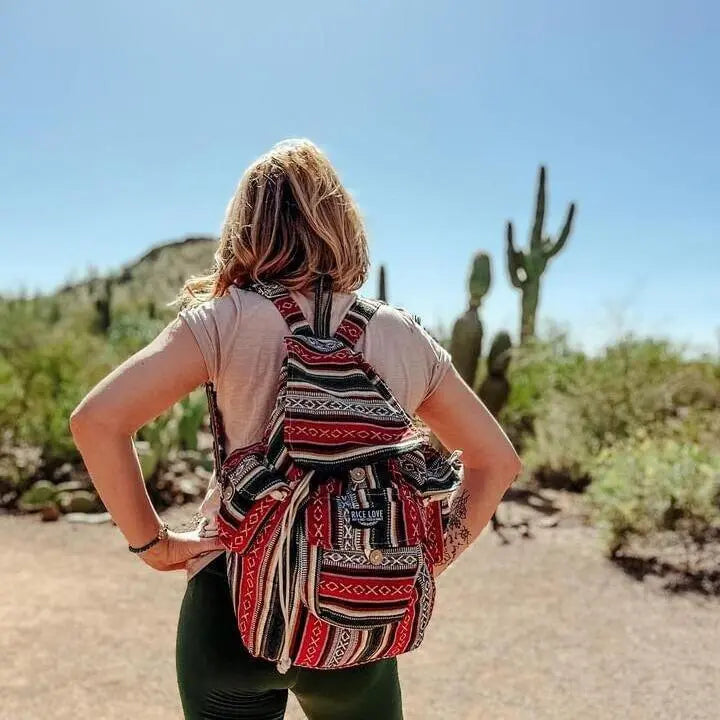 Recycled Travel Backpack Delhi Rice Love