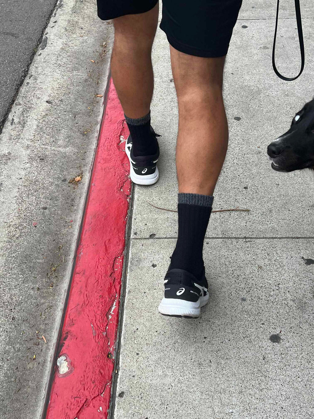 OutdoorAdventure Alpaca Sock Purely Alpaca