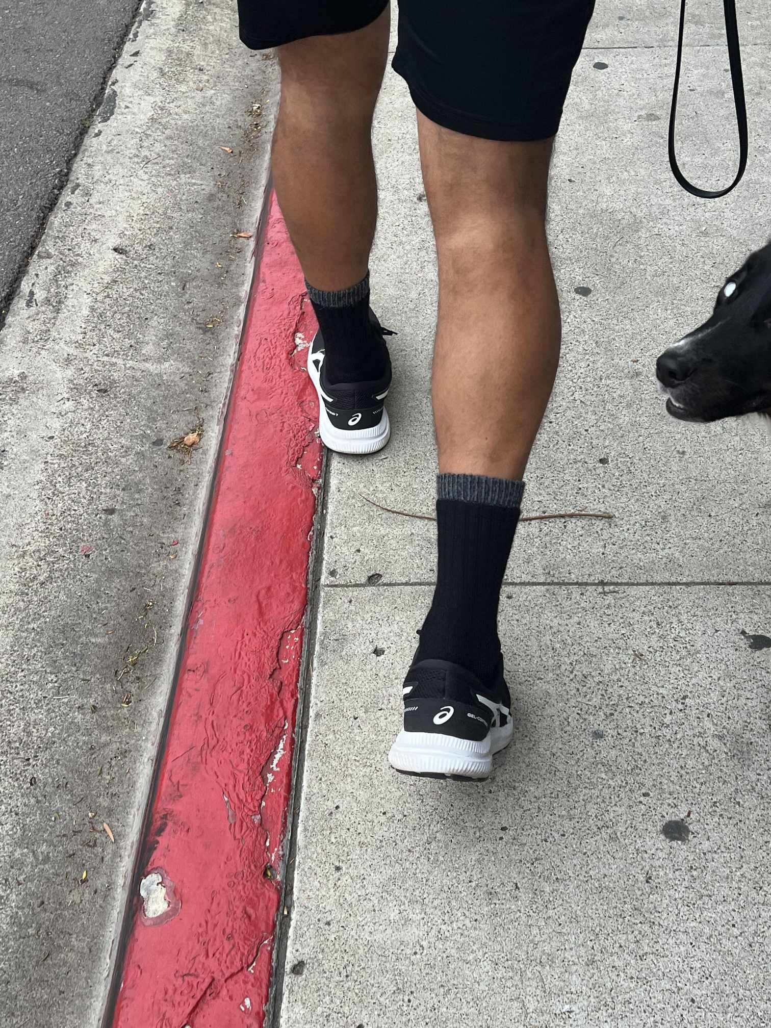 OutdoorAdventure Alpaca Sock Purely Alpaca